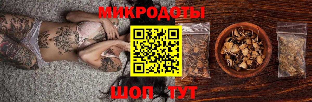Зима  Псилоцибиновые грибы Psilocybine cubensis  Вход с VPN 