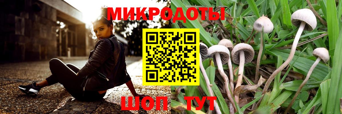 Псилоцибиновые грибы Magic Shrooms Зима